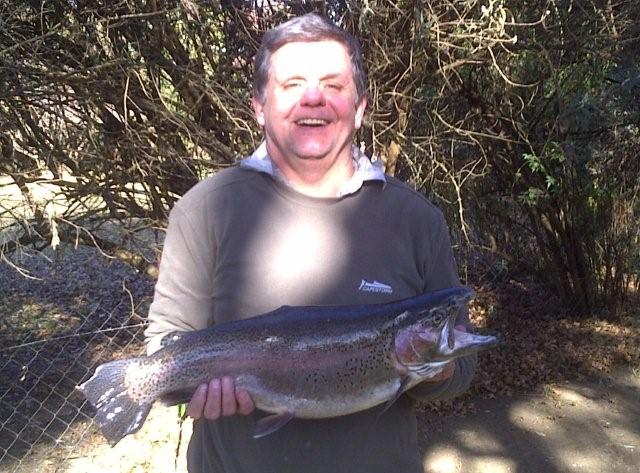 Mark Rose 3.3kg Cock Rainbow  Mikes Luck